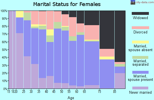Wythe County marital status for females