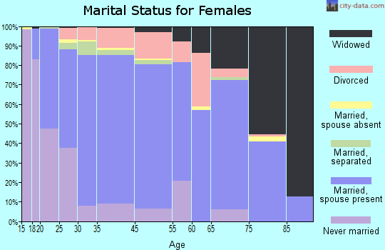 Somerset County marital status for females