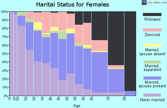 Chisago County marital status for females