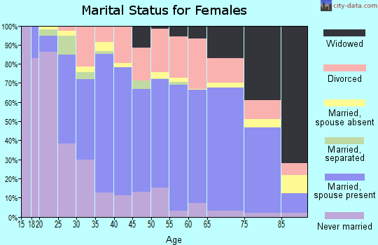 Kerr County marital status for females