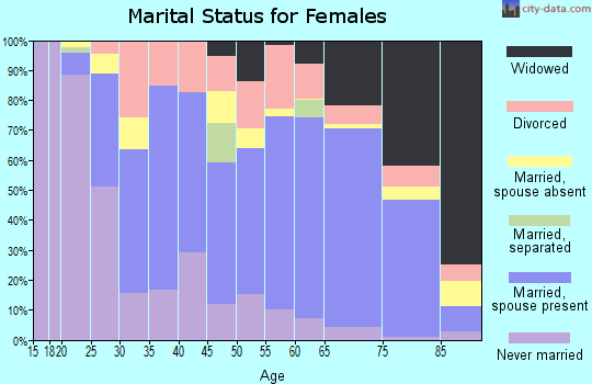 Towns County marital status for females