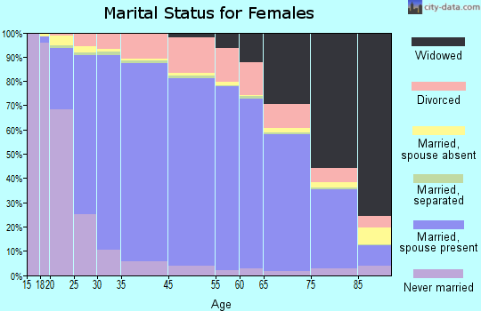 Clinton County marital status for females