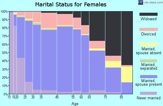 Cheboygan County marital status for females