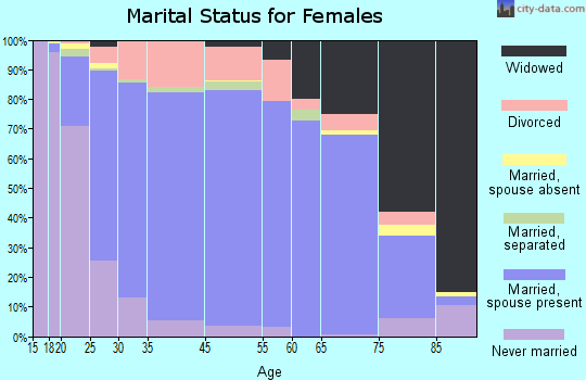 Clinton County marital status for females