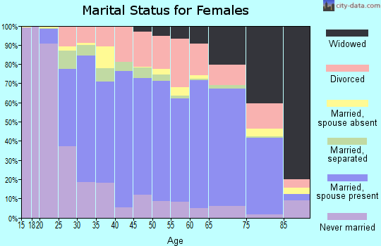 Chenango County marital status for females