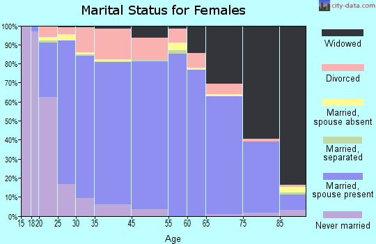 Somerset County marital status for females