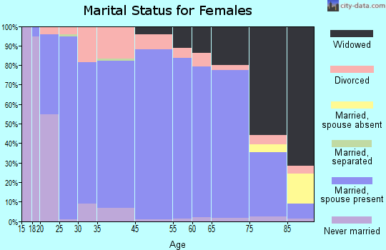 Faribault County marital status for females