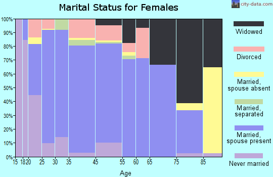 Brewster County marital status for females