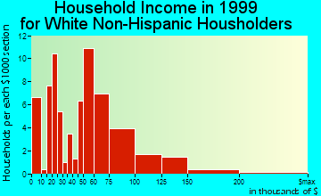 Rio Rico Northeast household income for White Non-Hispanic householders