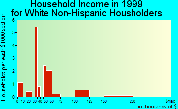 Rio Rico Southeast household income for White Non-Hispanic householders