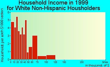 Big Bay household income for White Non-Hispanic householders