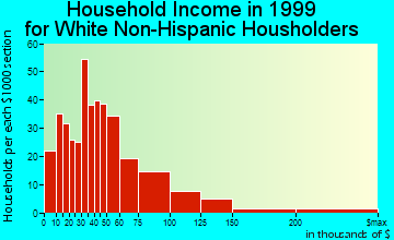Brighton household income for White Non-Hispanic householders