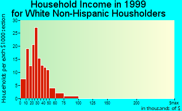 Buena Vista household income for White Non-Hispanic householders