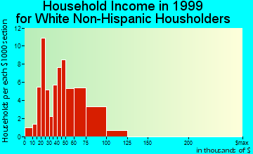 Burt household income for White Non-Hispanic householders
