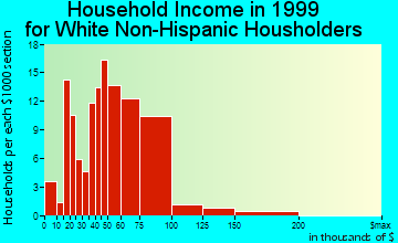 Detroit Beach household income for White Non-Hispanic householders