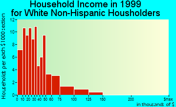 North Branch household income for White Non-Hispanic householders