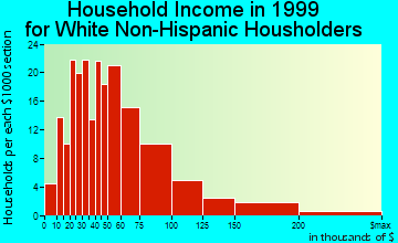 North Muskegon household income for White Non-Hispanic householders