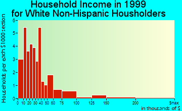 Palmer household income for White Non-Hispanic householders