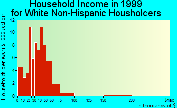 Pellston household income for White Non-Hispanic householders