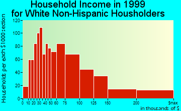Plymouth Township household income for White Non-Hispanic householders