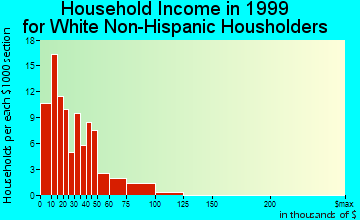 White Cloud household income for White Non-Hispanic householders