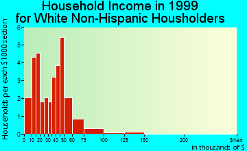 Audubon household income for White Non-Hispanic householders