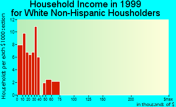 McGregor household income for White Non-Hispanic householders