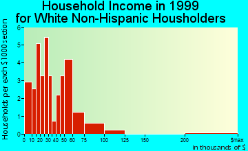 Bigelow household income for White Non-Hispanic householders