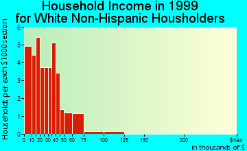 Biggers household income for White Non-Hispanic householders