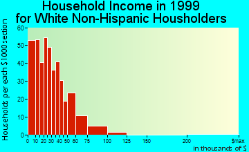 Ripley household income for White Non-Hispanic householders
