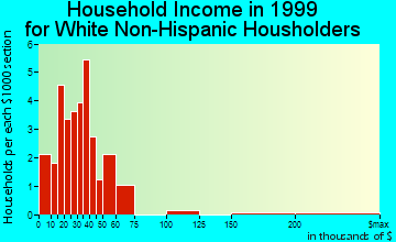 Terry household income for White Non-Hispanic householders