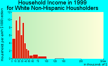 Diamond City household income for White Non-Hispanic householders