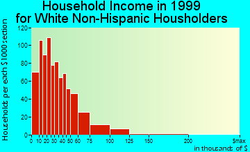 Farmington household income for White Non-Hispanic householders