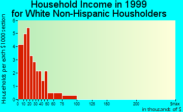 Fisk household income for White Non-Hispanic householders