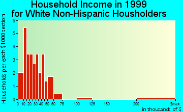 Hurley household income for White Non-Hispanic householders