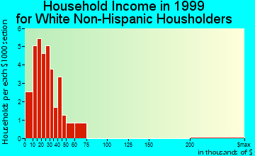 Garner household income for White Non-Hispanic householders
