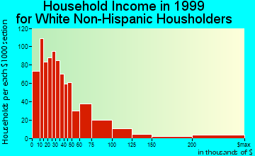 Anniston household income for White Non-Hispanic householders