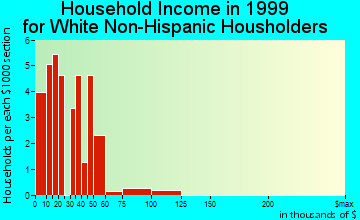 Havana household income for White Non-Hispanic householders