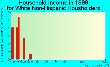 Haynes household income for White Non-Hispanic householders