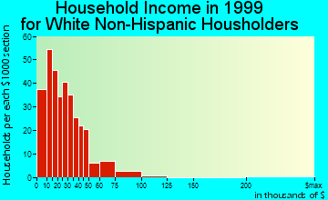 Libby household income for White Non-Hispanic householders