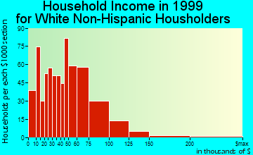 Elko household income for White Non-Hispanic householders