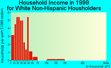 McNeil household income for White Non-Hispanic householders