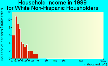McRae household income for White Non-Hispanic householders