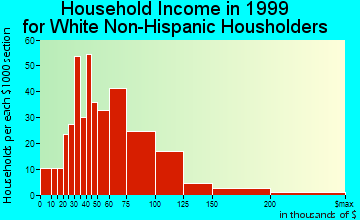 Budd Lake household income for White Non-Hispanic householders