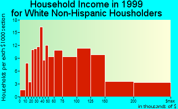 Princeton North household income for White Non-Hispanic householders