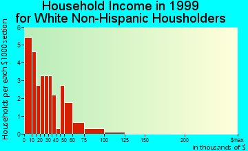 Mount Pleasant household income for White Non-Hispanic householders
