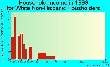 Jarales household income for White Non-Hispanic householders