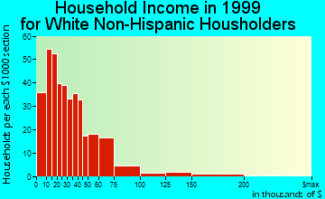 Silver City household income for White Non-Hispanic householders