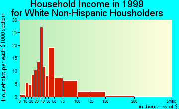 Big Flats household income for White Non-Hispanic householders