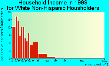 Central Square household income for White Non-Hispanic householders